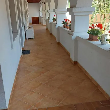 Πανσιόν Feher Galamb Vendeghaz Tolmacs