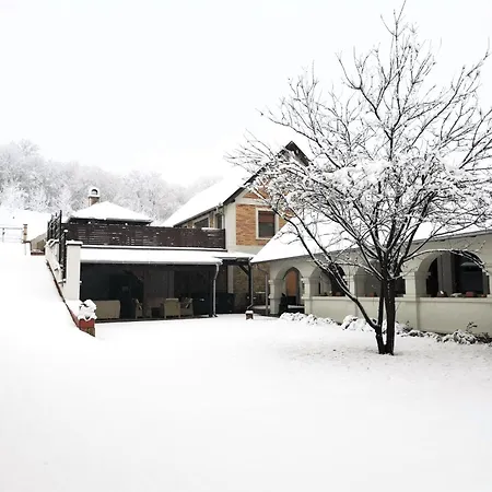 Fehér Galamb Tolmacs