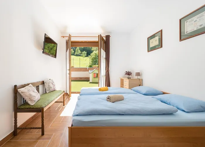 Fehér Galamb 3* Tolmacs